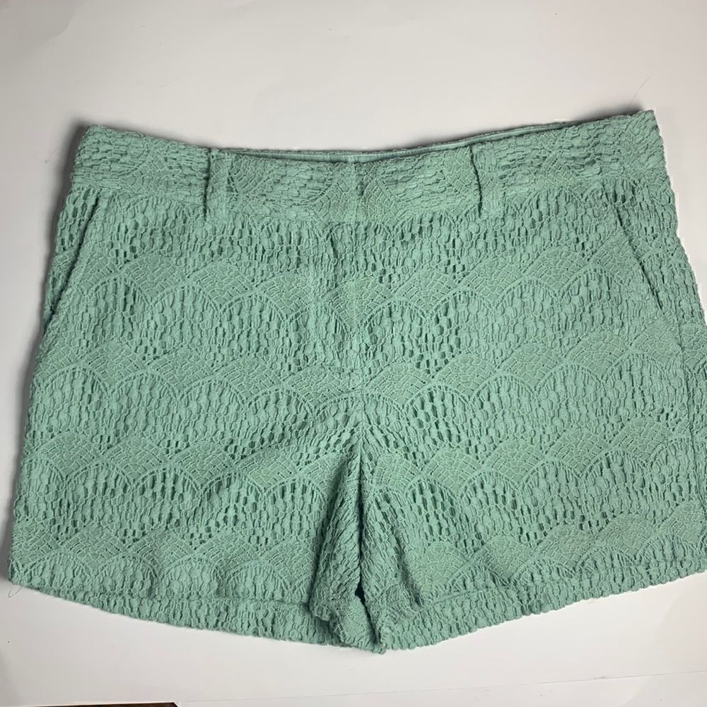 ANN TAYLOR size 8 4” mint green shorts lace dress shorts 4 inch casual boho